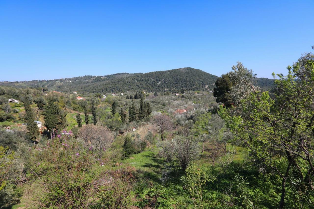 Alikias Country House Panormos  Exterior photo